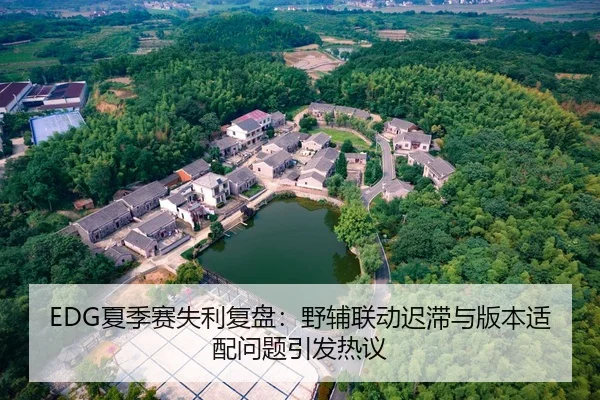 EDG夏季赛失利复盘：野辅联动迟滞与版本适配问题引发热议