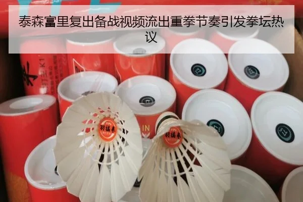泰森富里复出备战视频流出重拳节奏引发拳坛热议